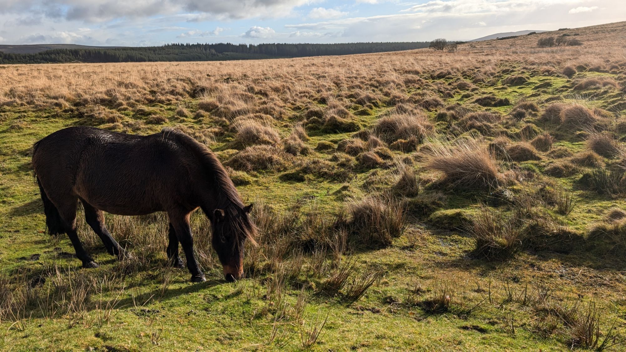 Dartmoor and Plymouth